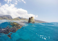 HONU\'S BREATHE