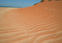 Beautiful sand waves on the beach