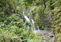 Beautiful waterfall on the road to Hana Maui