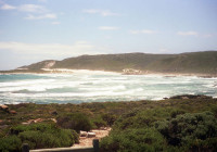 Cape of Good Hope