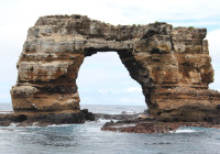 Darwins Arch