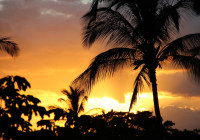 Hawaiian sunset