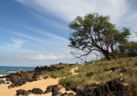 Makena Little Beach Maui