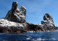Roca Partida fotografata dall’acqua al termine di un’immersione molto impegnativa