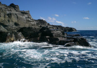 San Benedicto Island