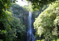 Waterfall Hana Maui